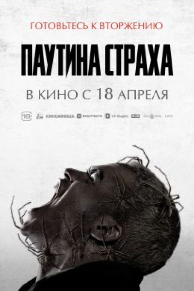 Рецензия на хоррор «Паутина страха»: оно ползет по тебе