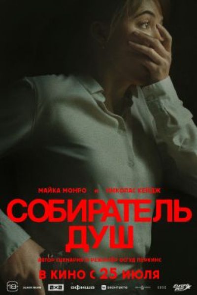 Мама, роди меня обратно: рецензия на фильм «Собиратель душ»