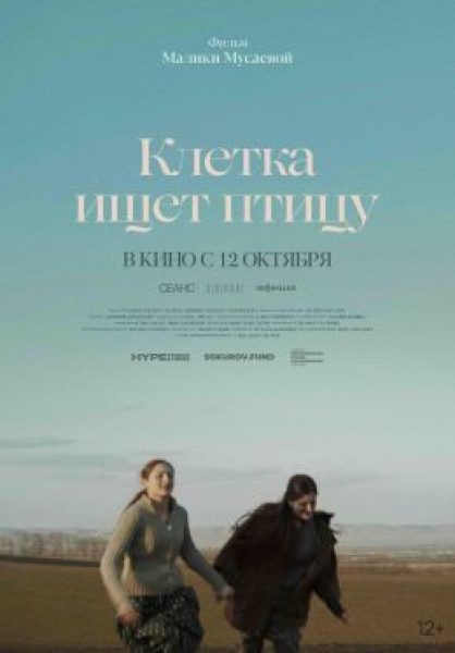 Берлинале-2023: рецензия на фильм «Клетка ищет птицу» — дебютную картину о взрослении в Чечне