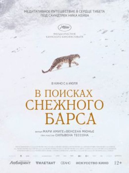 Рецензия на документальный фильм «В поисках барса»: большая кошка знает лучше
