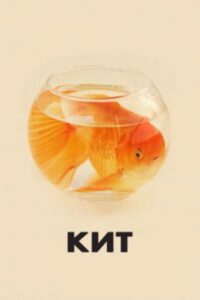 Новое кино film-info.ru