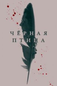 Когда преступник становится героем: рецензия на криминальный сериал «Черная птица»