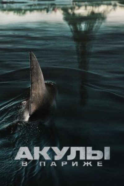 Республика восторжествовавших плавников: рецензия на французский хоррор «Акулы в Париже»