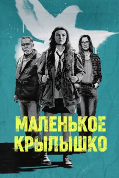 Рецензия на фильм «Маленькое крыло» — подростковую драму с Брайаном Коксом и Келли Райлли