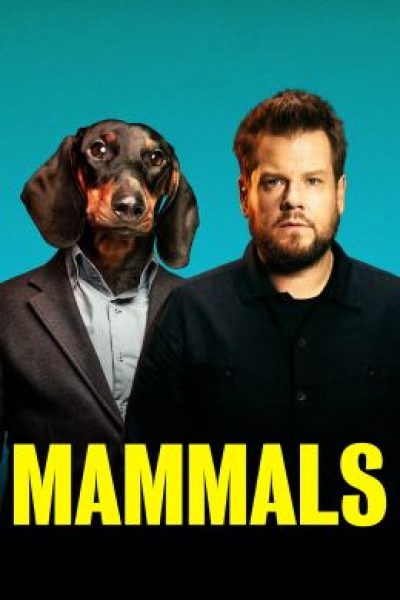 В погоне за Моби Диком: рецензия на сериал «Млекопитающие»