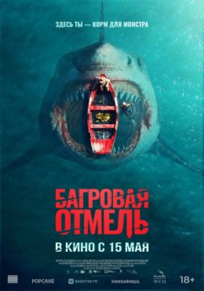 Особенности национального дайвинга: рецензия на австралийский фильм «Багровая отмель»