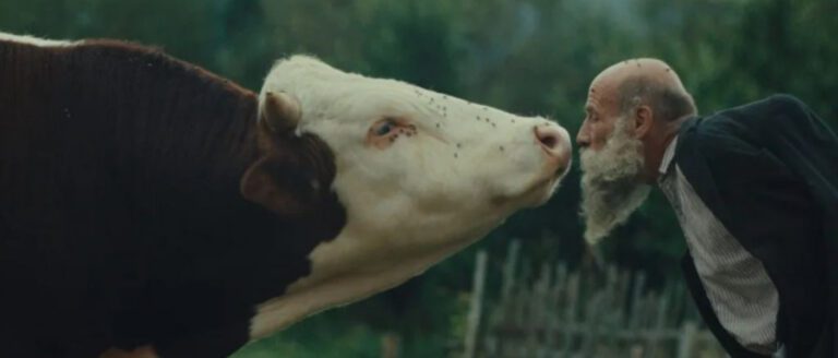 Словацкая драма «Лучше сойти с ума на природе» победила на кинофестивале в Карловых Варах