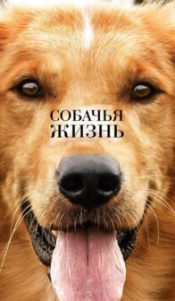 Собачья жизнь (2017)