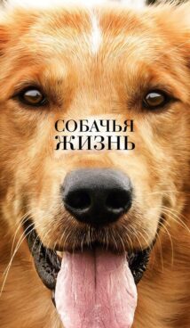 Собачья жизнь (2017)