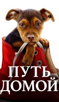 Путь домой (2019)