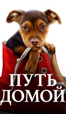 Путь домой (2019)