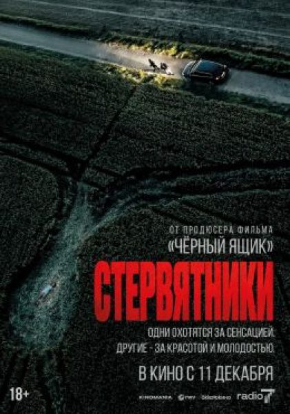Французский вестник: приложение к криминальной газете Detective — рецензия на фильм «Стервятники»