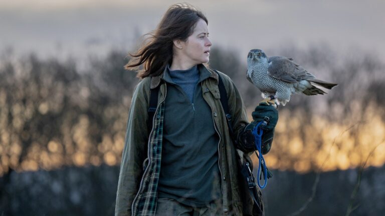 Рецензия на книгу «H Is For Hawk» – «Слишком уж рьяно стараются не вызывать недовольство».